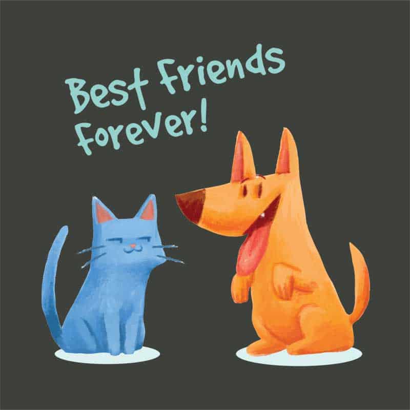Best Friends Forever