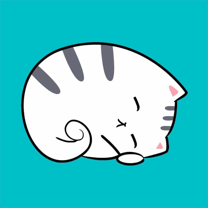 Sleepy Cat