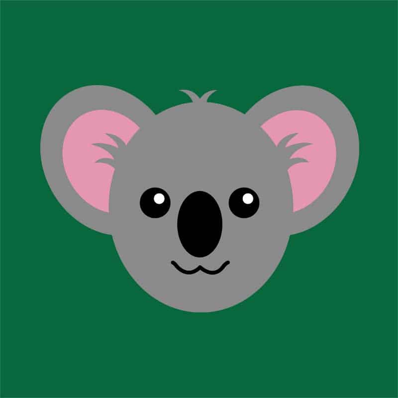 Cute Koala