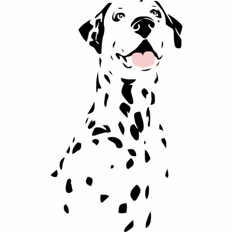 Dalmatian