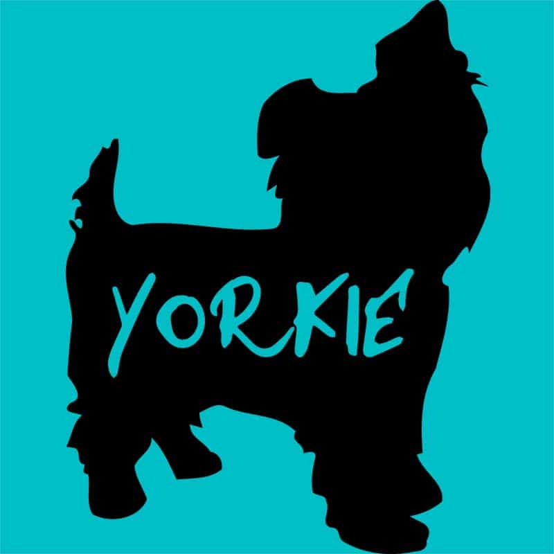 Yorkie Silhouette