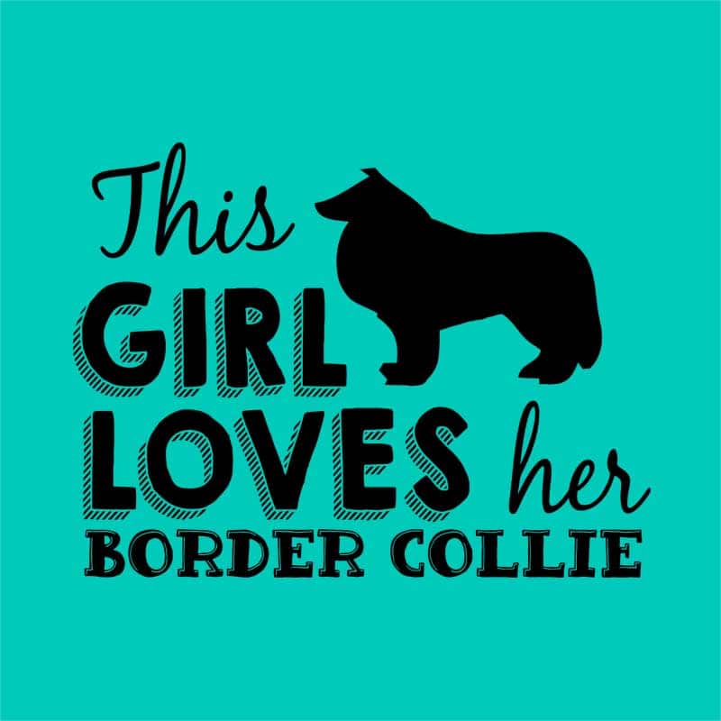 This Girl Loves Her Border Collie