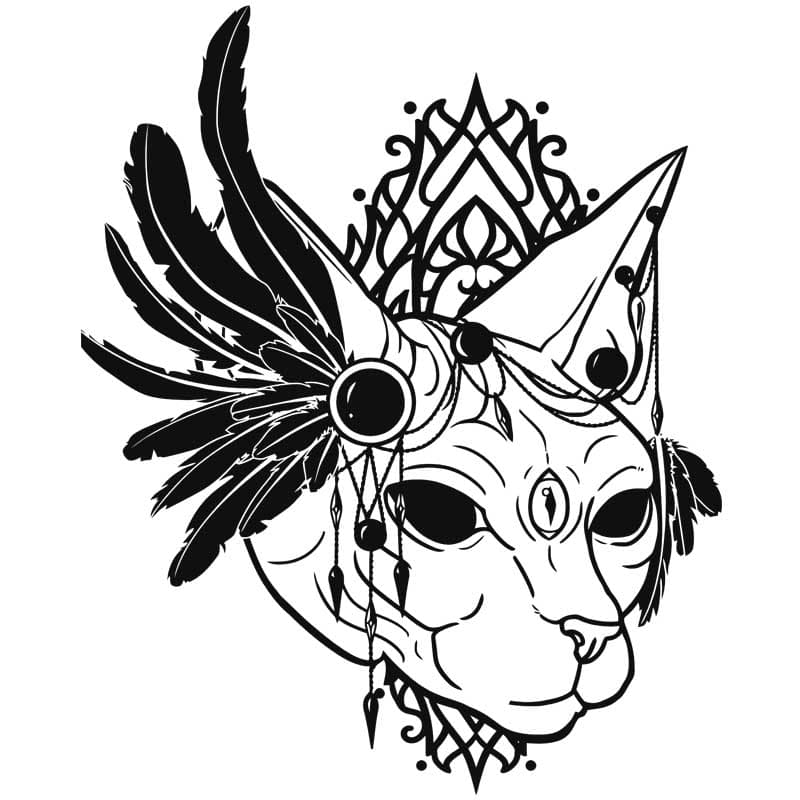 Sphynx cat