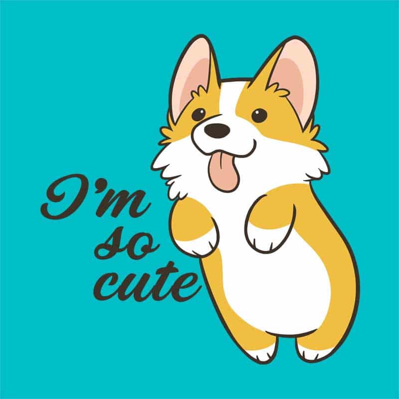 I'm so cute corgie