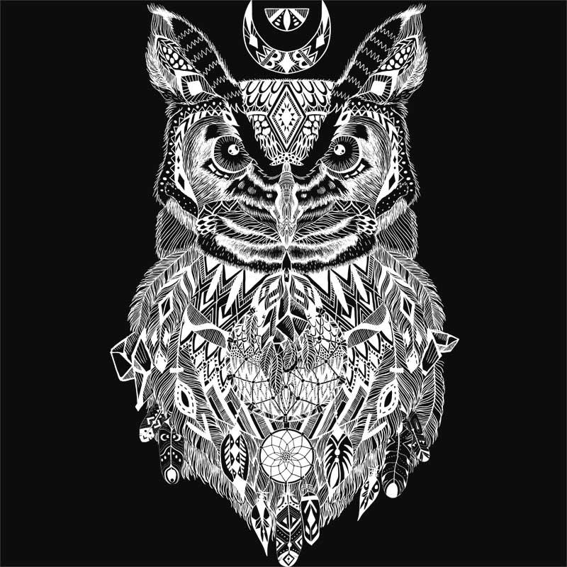 Dreamcatcher owl