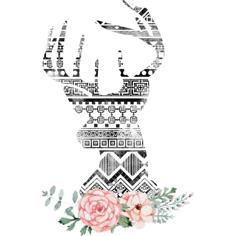 Aztec deer