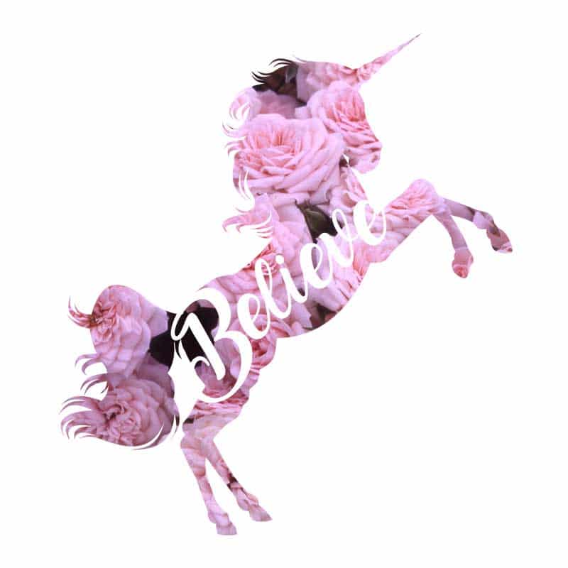 Unicorn believe