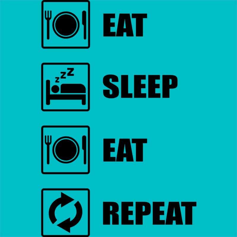 Eat Sleep Eat