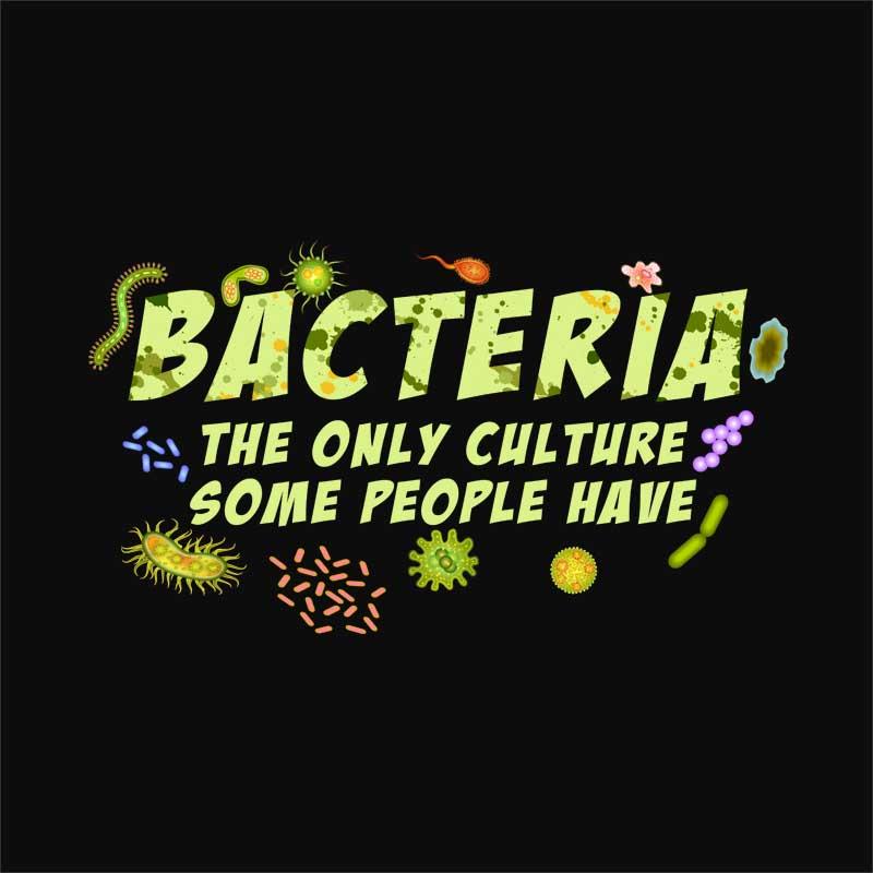 Bacteria