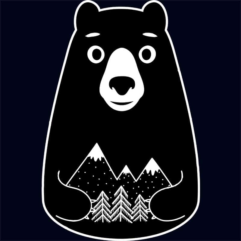 Cute bear