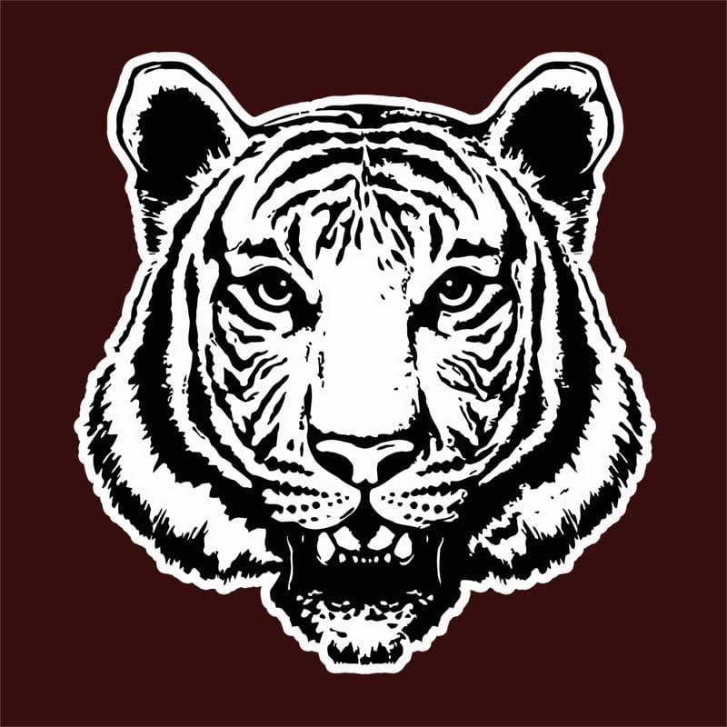 Tiger face
