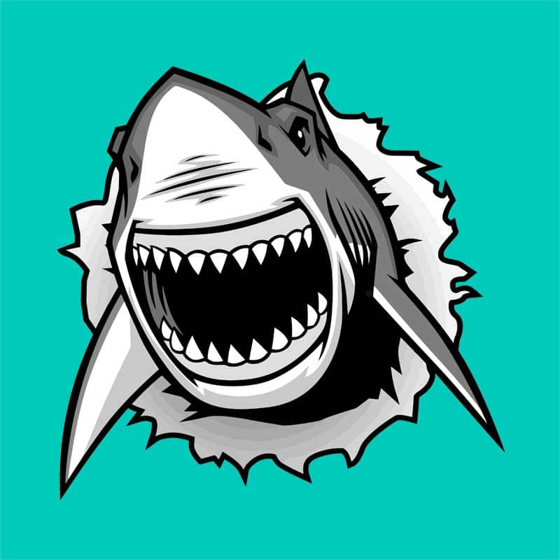 Shark
