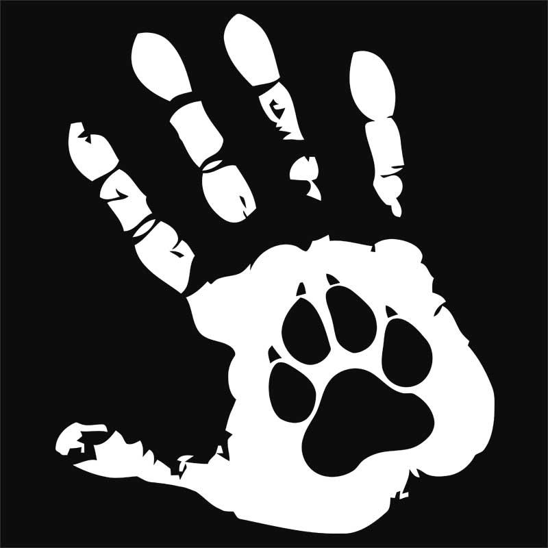 Hand and paw