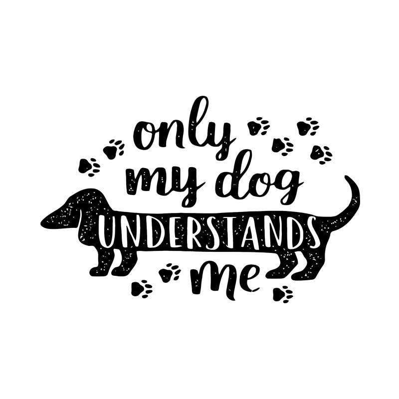 Only my dog understands me