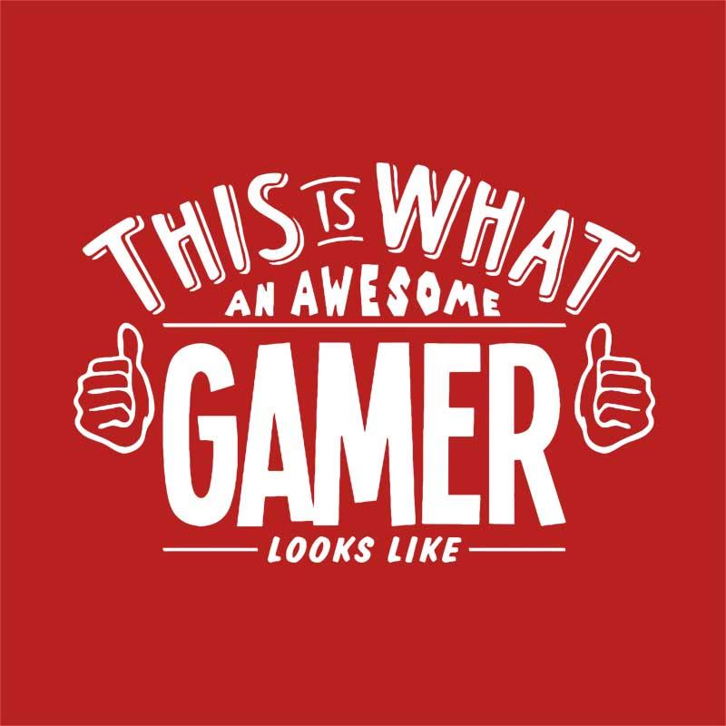 Awesome gamer