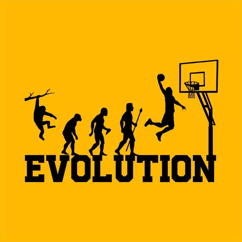 Basketball Evolution