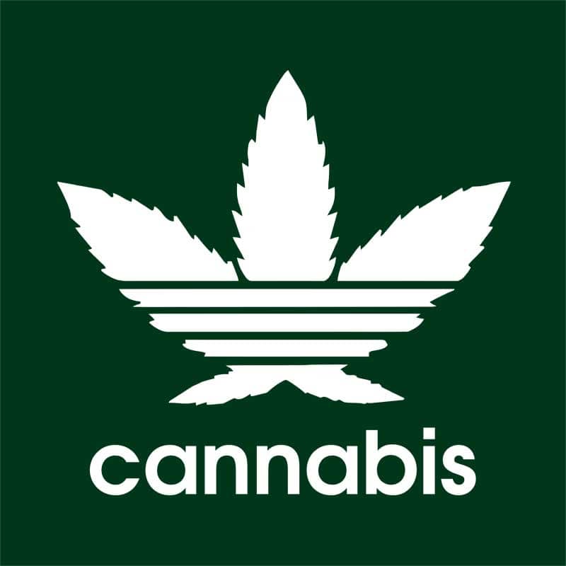 Cannabis