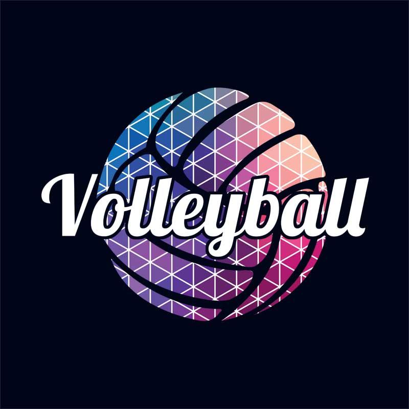 Volleyball polygon