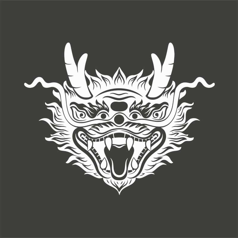Chinese dragon head