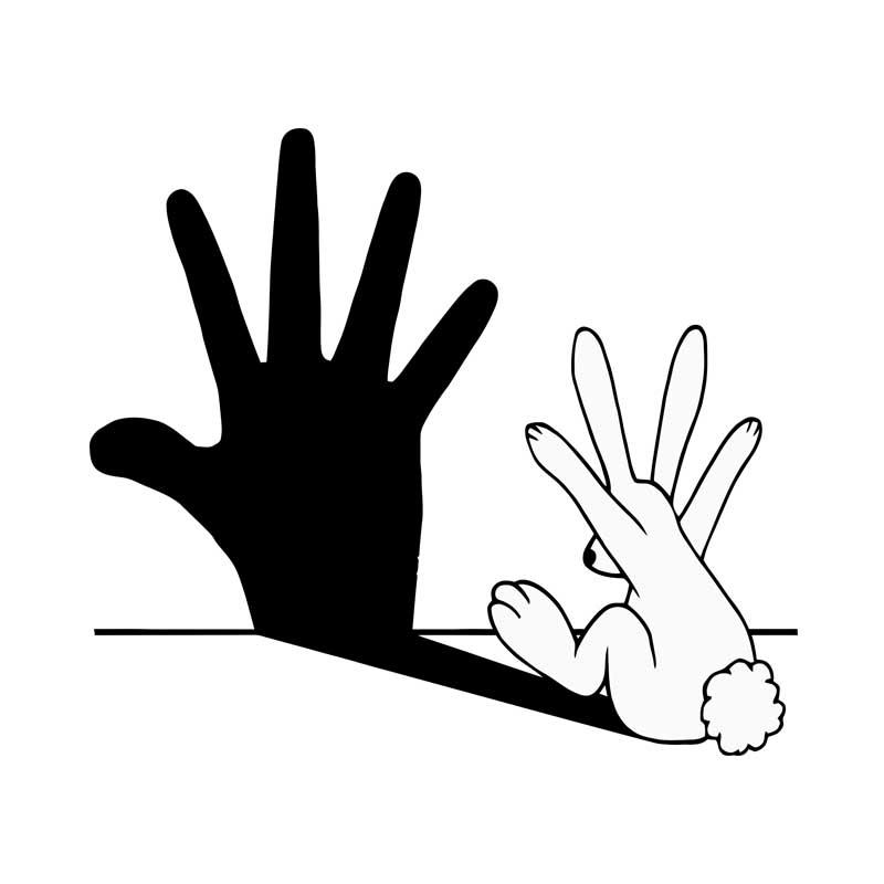 Bunny shadow