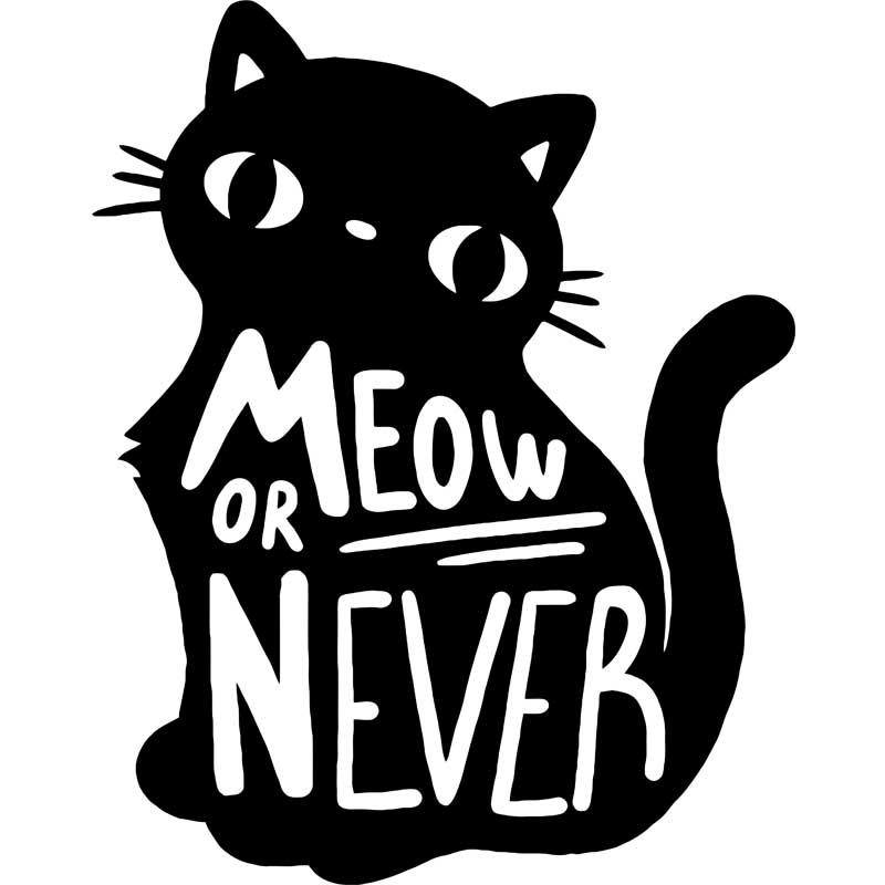 Meow or never