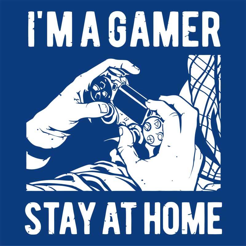 I'm a gamer