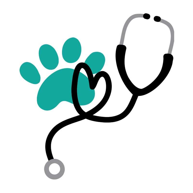 Veterinary love