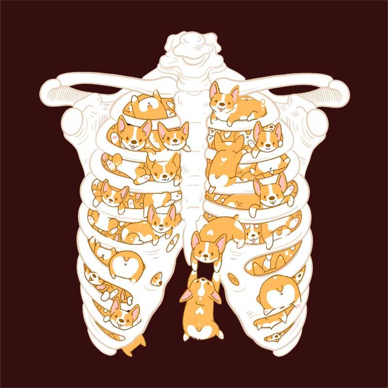Corgie ribs