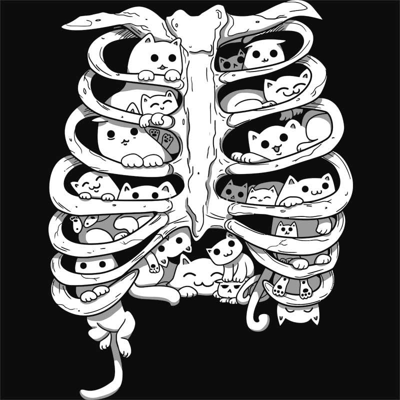 Kitty ribs