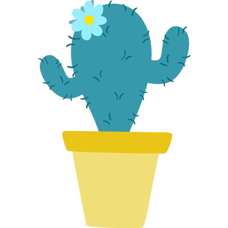 Lil Cactus