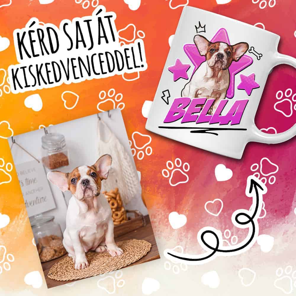 Pet with stars - MyLife Plus