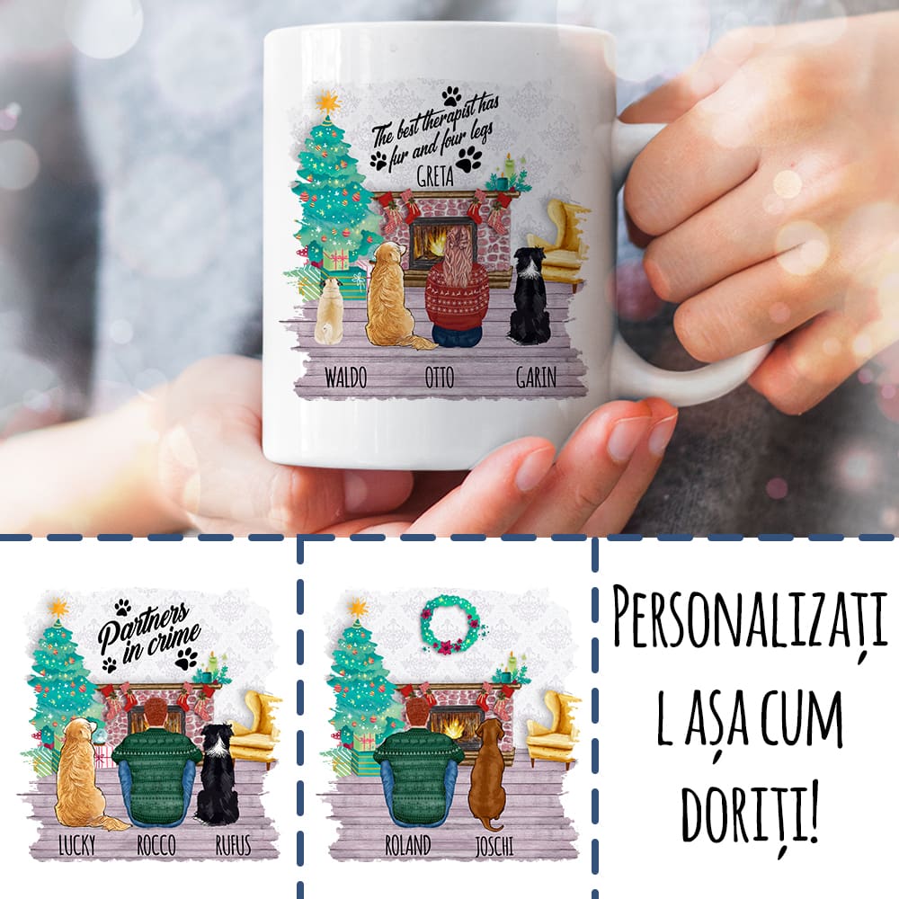 Cu o mică sumă de bani de Crăciun - MyLife