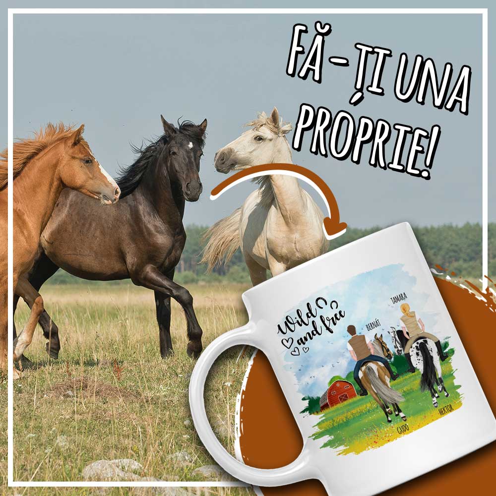 Călătorind pe un câmp de primăvară - MyLife