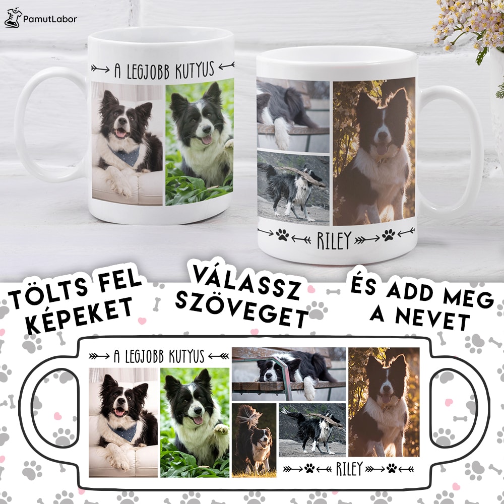 Photos of my pet -  Mylife Plus