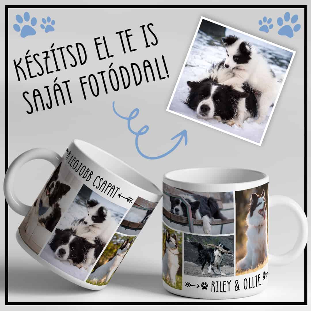 Photos of my pet -  Mylife Plus