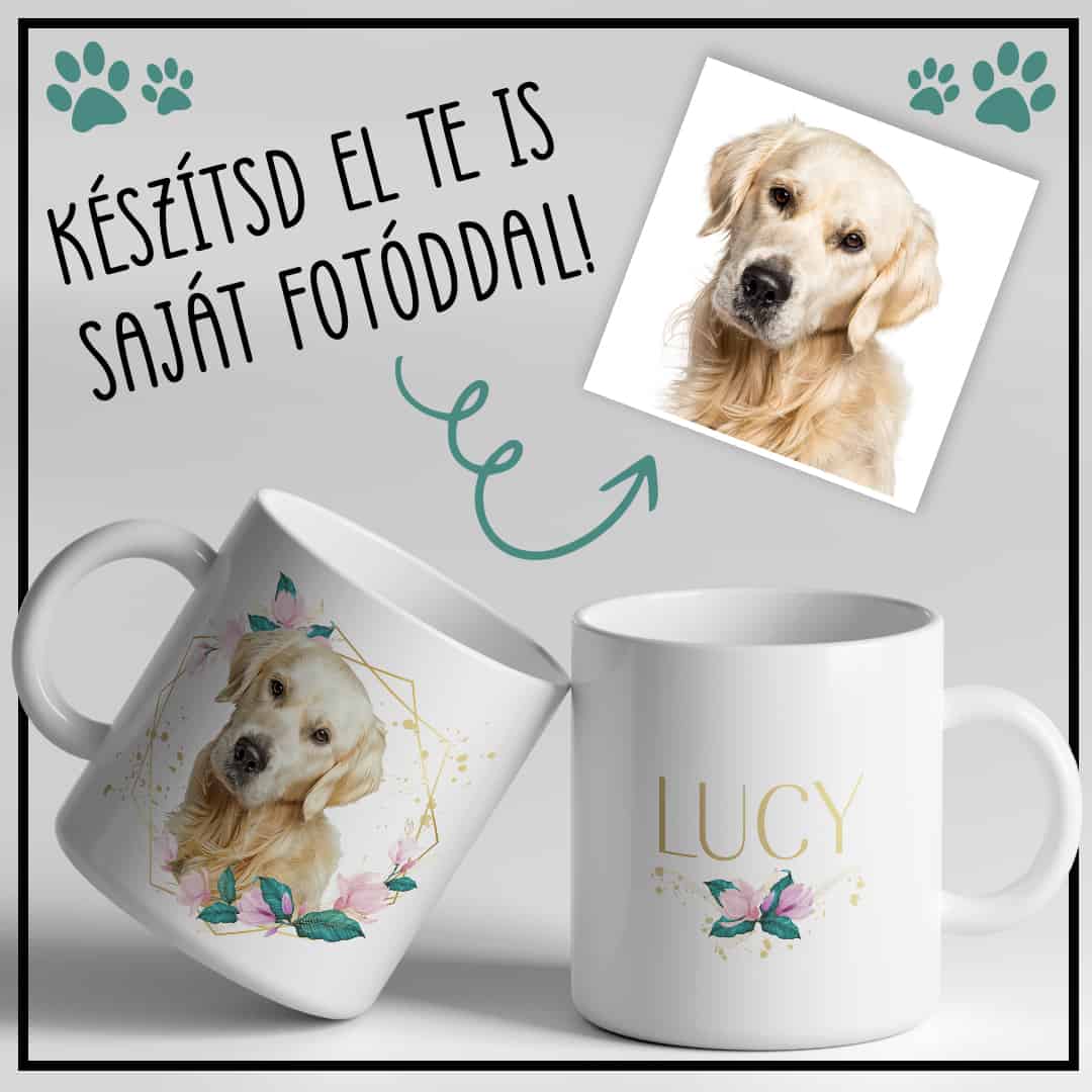 My pet with gold flower frame - Mylife Plus